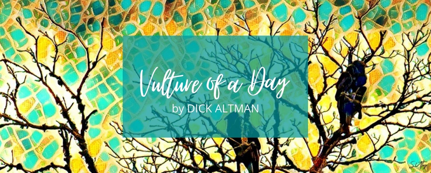 READ IT NOW: VULTURE OF A DAY