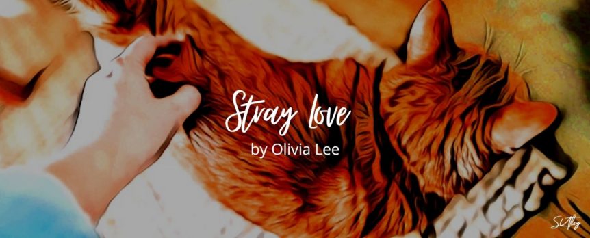 Stray Love by Olivia Lee